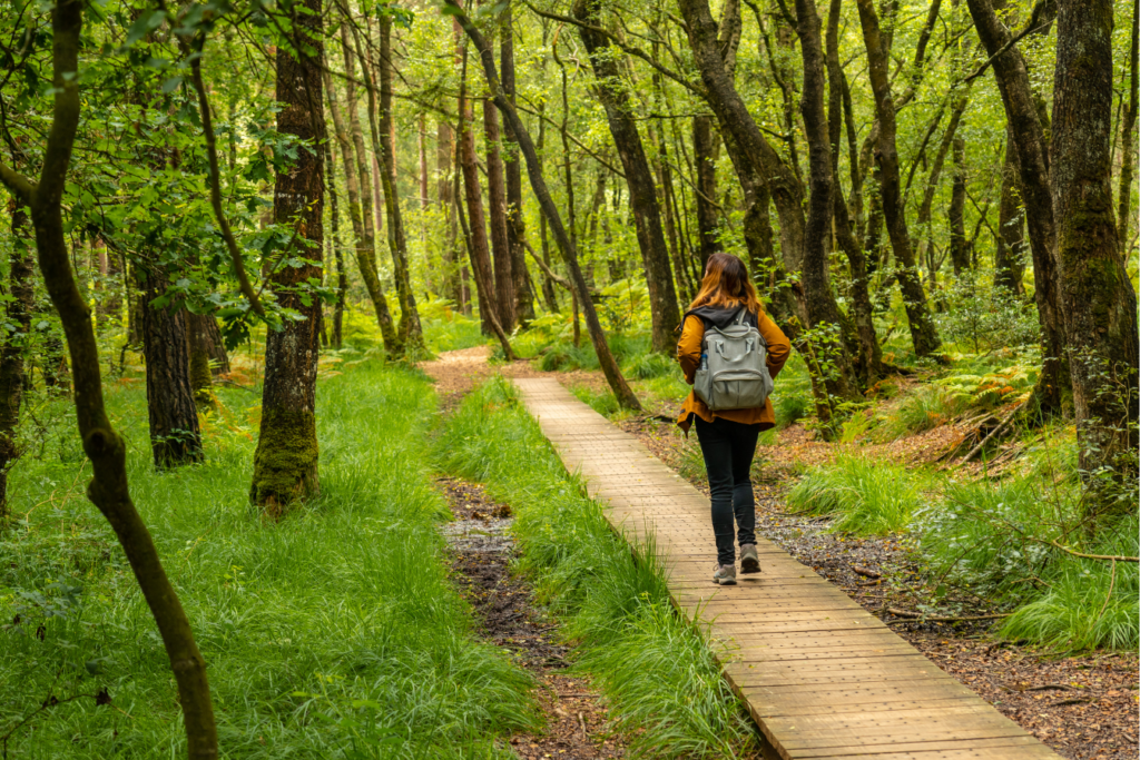 Balade à Brocéliande