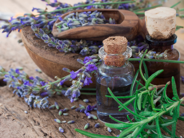 Les herbes et les huiles essentielles