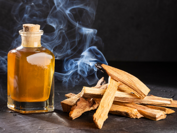 Le palo santo en huiles essentielle