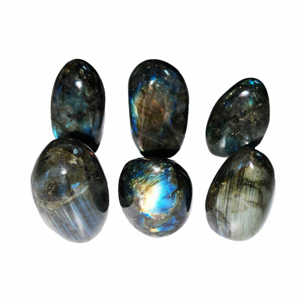 Labradorite polie – Taille XS – Image 2