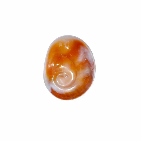 Oeil de Sainte Lucie – Pierre brute