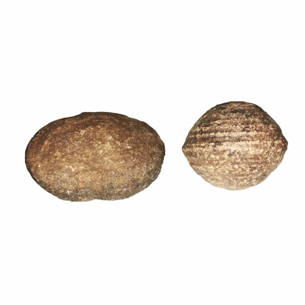 Paire de Moquis Balls – Supérieur à 45 mm – Image 2