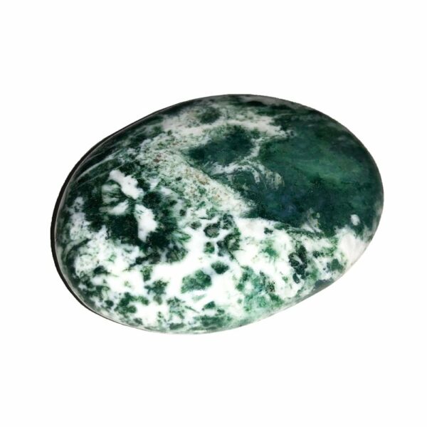 Pierre plate Agate Arbre