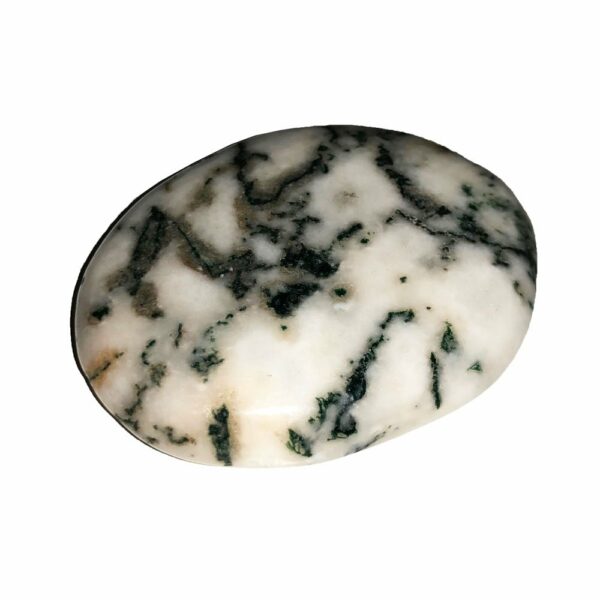 Pierre plate Agate Arbre – Image 2