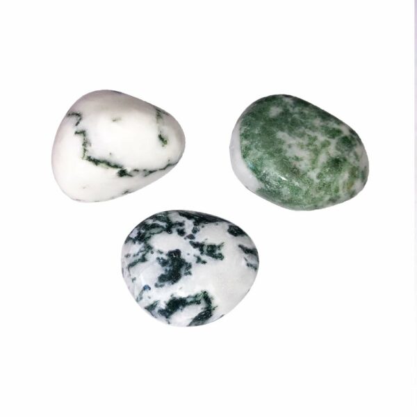 Pierres roulées Agate arbre- 250grs – Image 2