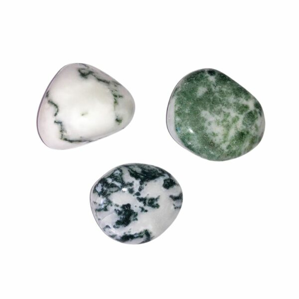 Pierre roulée Agate arbre – Image 2