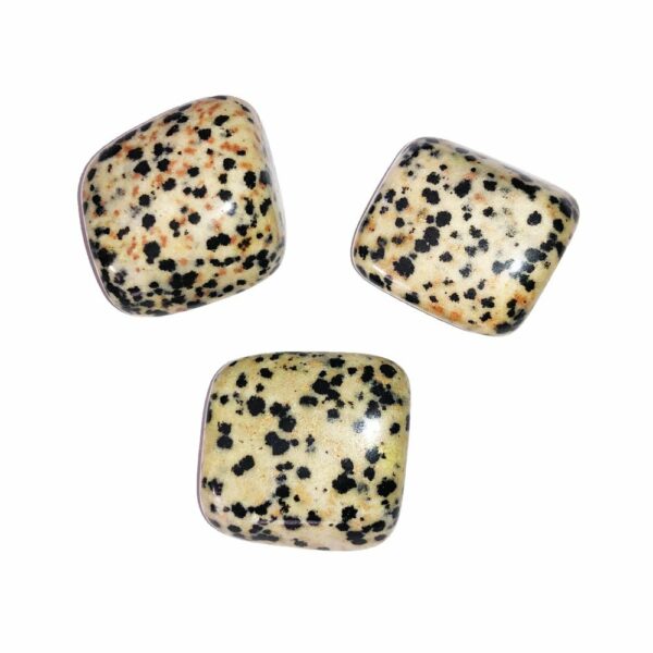 Pierre roulée Jaspe Dalmatien – Image 2
