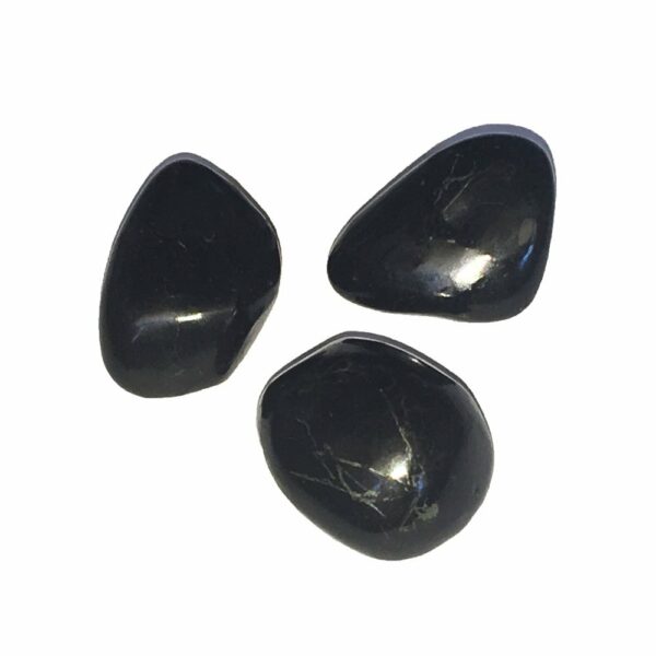 Pierre roulée Shungite