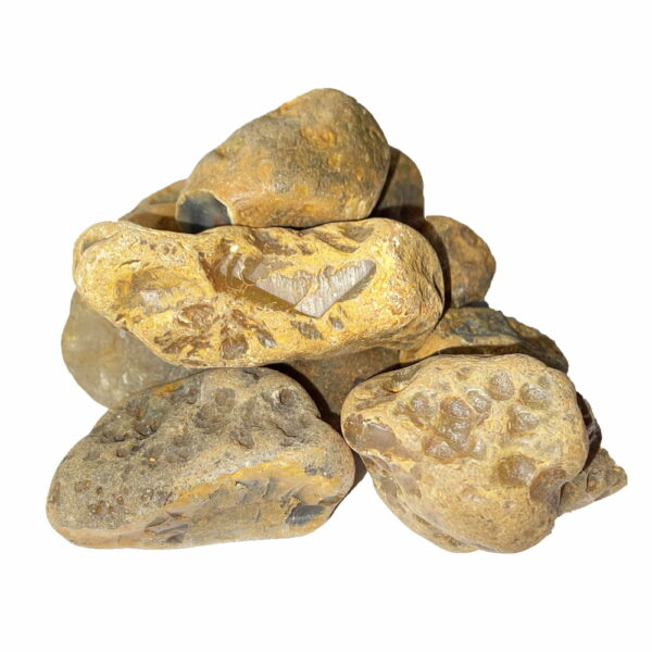 Pierres brutes Agate – 1Kg