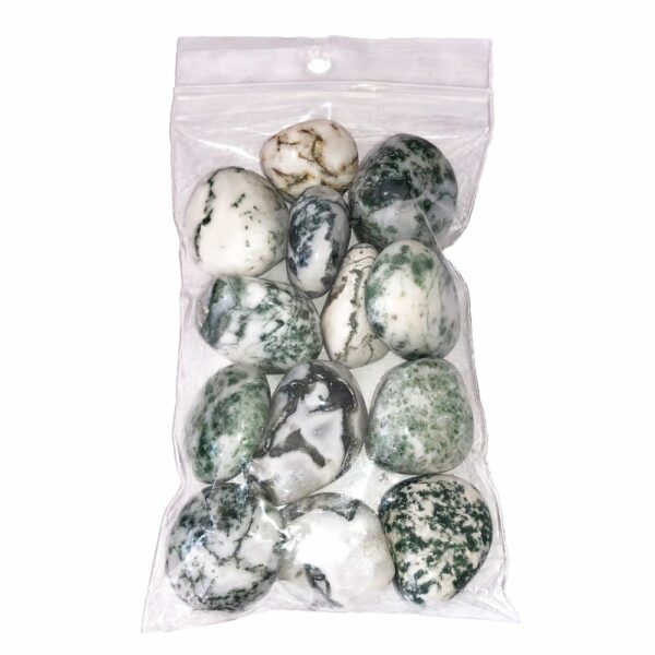 Pierres roulées Agate arbre- 250grs