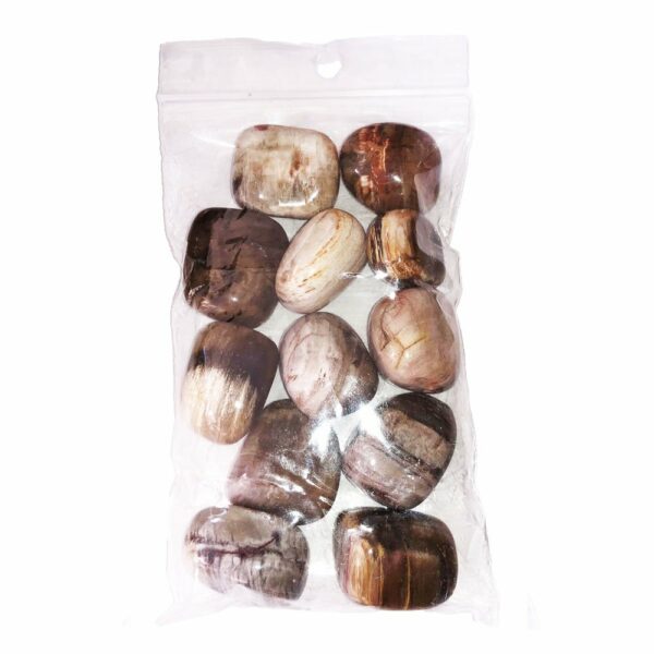 Pierres roulées Bois fossilisé – 250grs