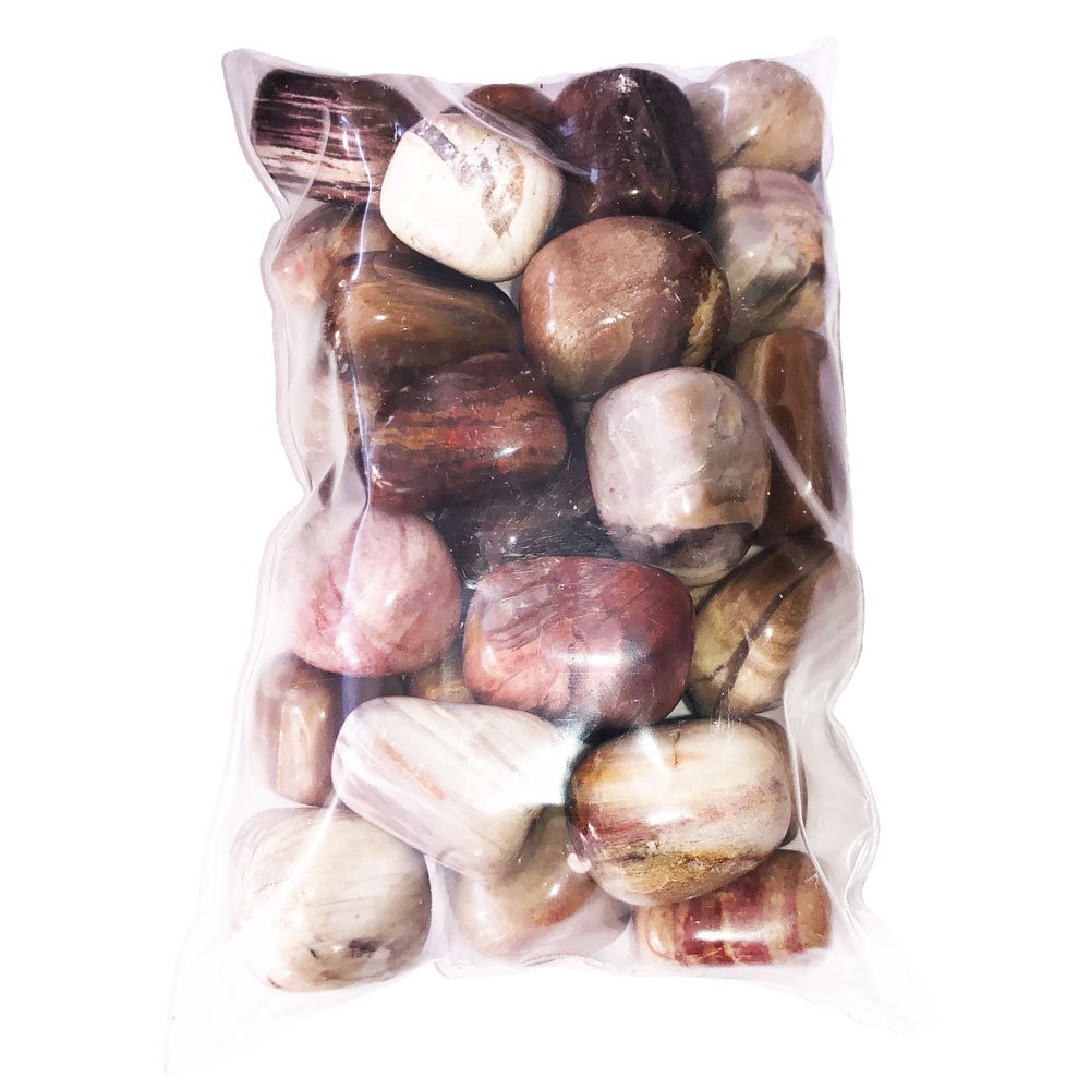 Pierres roulées Bois fossilisé – 500grs