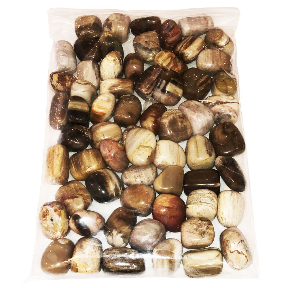 Pierres roulées Bois fossilisé – 1Kg